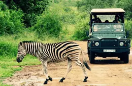 Pilanesberg Safaris and Tours™